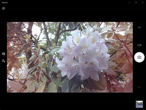 Image result for How to Take Picture Using PC Camera HP