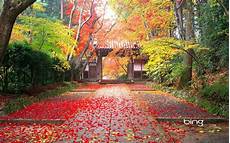 Nature High Resolution Fall Desktop Backgrounds by Wallpaper Proslut High Resolution Beautiful Nature Jungle Nature High Resolution Fall Desktop Backgrounds