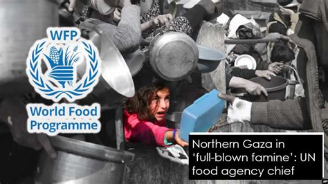 UN agencies welcome news that famine has been pushed back in the Gaza Strip, but warn fragile gains