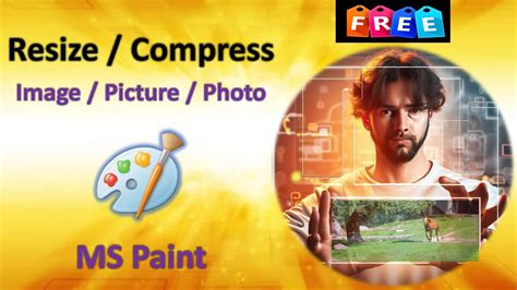 Image result for Paint .Net File Compress