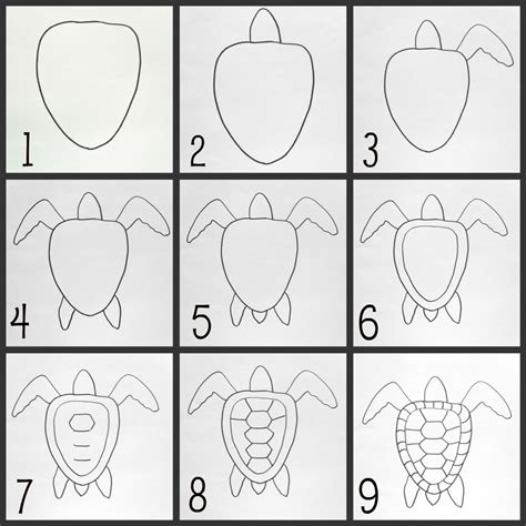 Image result for Turtle Drawing Tutorial