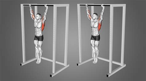 Dead Hangs: Benefits, Muscles Worked, and More - Inspire US