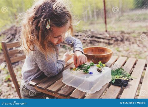 Child Girl Exploring Nature in Early Spring Forest. Kids Learning To ...