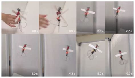 Design and Flight Performance of a Bio-Inspired Hover-Capable Flapping ...