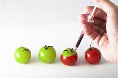 Modification Engineer by High Tech Agriculture Can Prevent Oncoming Global Water Wars Modification Engineer