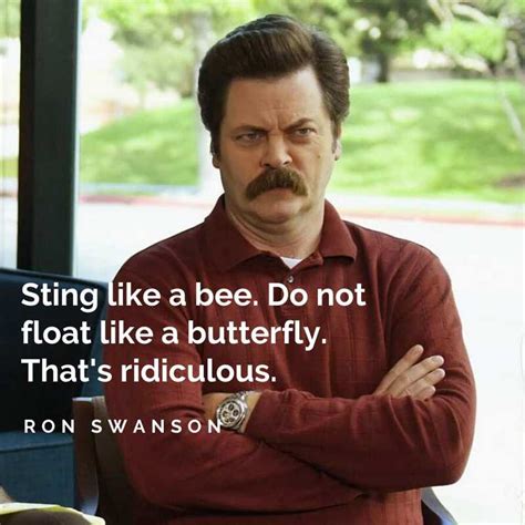 30 famous Parks and Rec quotes that made the show legendary - Legit.ng