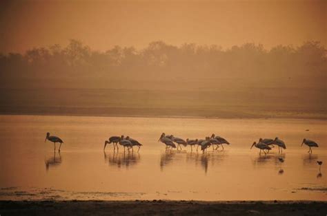 Gandipet Lake (Hyderabad) - 2020 What to Know Before You Go (with ...