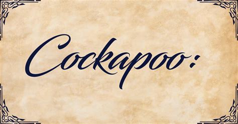 Image result for Cockapoo Terrier