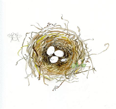 Pencil Drawing Birds Nest - pencildrawing2019