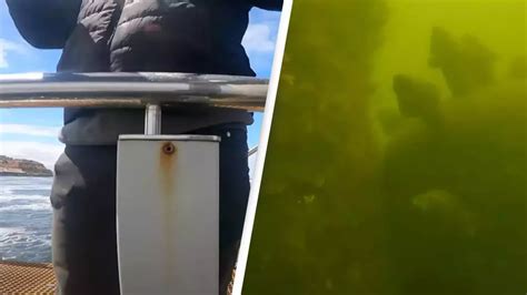 Image result for Pool GoPro Ocean