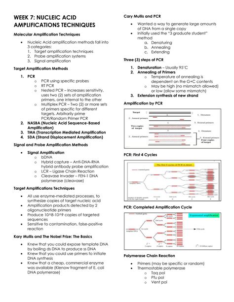 Image result for Nucleic Acid Amplification Test Explained
