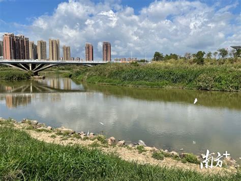 直击发布会｜去年惠州水环境质量改善幅度排名全国第7_腾讯新闻