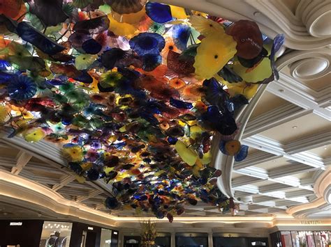 (2022) New Mlife Status Match to Gold & Platinum + Hyatt Status Match