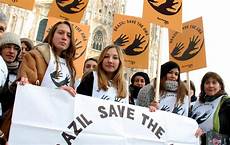 consolato generale brasile giornata mondiale diritti umani azioni di solidariet 224 per consolato generale brasile giornata mondiale diritti umani azioni di solidariet 224 per