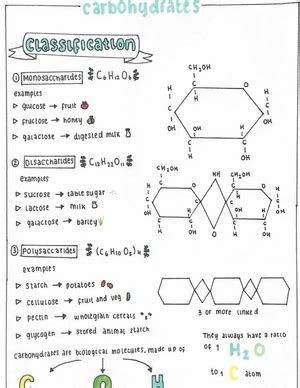 DNA replication - Its lecture notes - Biochemistry, Genetics ...
