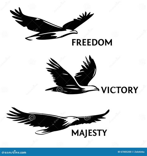 Set of Eagles, Painted with a Brush. Silhouettes of Birds of Prey Soaring in the Sky Stock ...