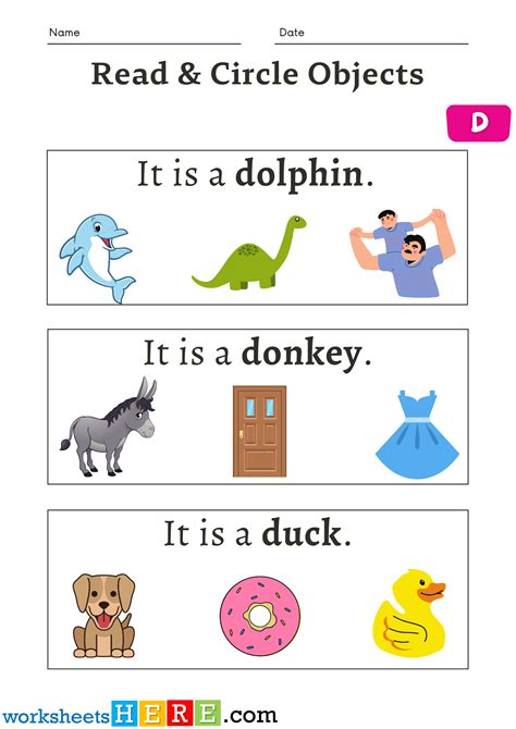 Read Sentences and Circle Objects Starting Letter D Activity Worksheets For Kids ...