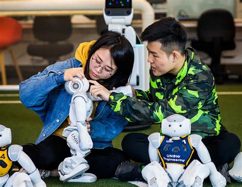 Diploma Programs 的图像结果