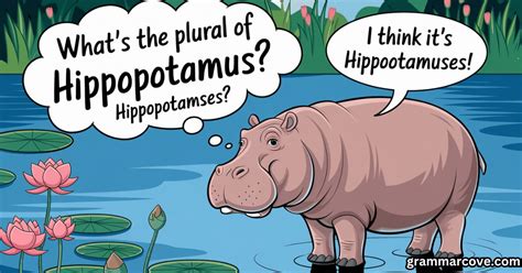 What's the Plural of Hippopotamus? Is it Hippopotamuses? - Grammar Cove