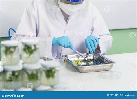 Biotech Lab Scientist 的图像结果