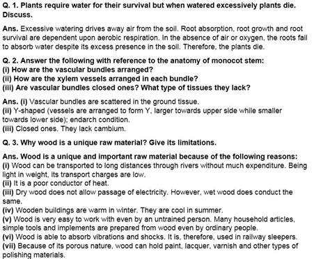 Subjects | Study Isle