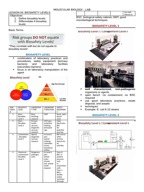 Image result for Biosafety level Types