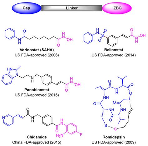 Design, Synthesis, and Biological Evaluation of HDAC Inhibitors ...