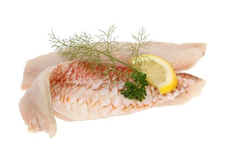 Image result for Real Fish Patterns