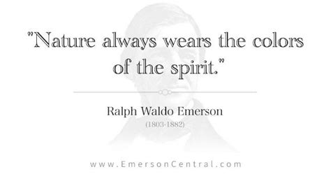 Nature Emerson 的图像结果