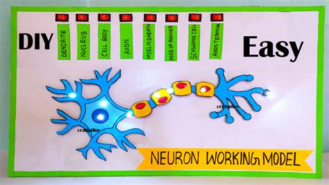 Image result for Neuron Project with Thread
