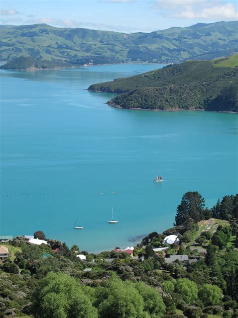 akaroa, new zealand | Places to go, Tourism, Beautiful places