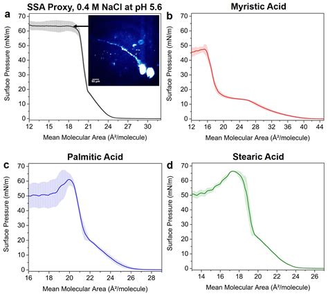 Collapse Mechanisms of Nascent and Aged Sea Spray Aerosol Proxy Films
