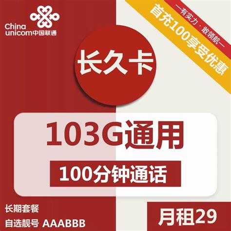 联通秋派卡29元包270G流量+100分钟通话 只发广东 一年套餐 - 流量不卡网