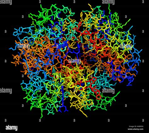 Image result for Normal Hemoglobin Structure