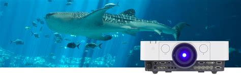 Laser projection illuminates undersea world at Georgia Aquarium