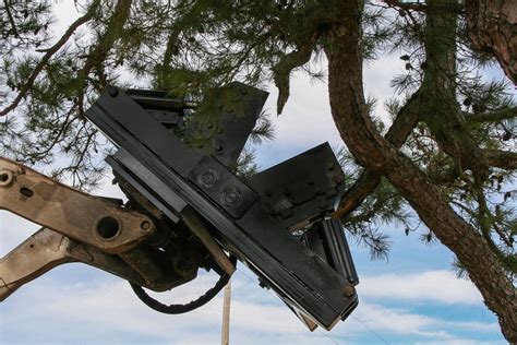 Image result for Tree Terminator