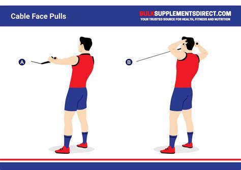 11 Best Compound Shoulder Exercises: Get Huge and Strong Delts