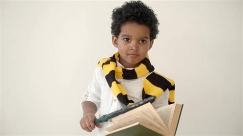 Fraction Learning 的图像结果