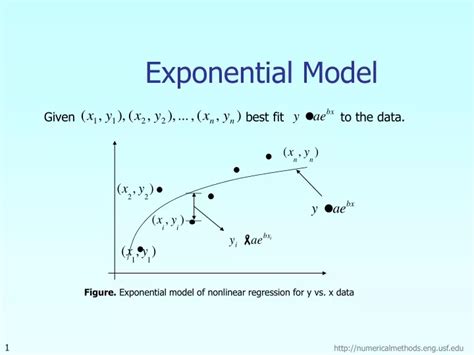 Exponential Model 的图像结果