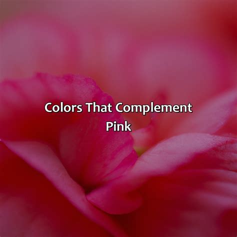 Colors That Compliments Pink at Pam Kirkland blog