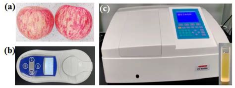 Qualitative and Quantitative Assessments of Apple Quality Using Vis ...