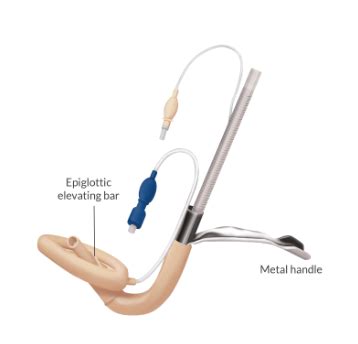 Image result for Patient Bad Example