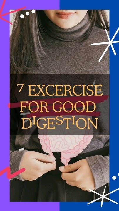 Image result for Digesting Exercise