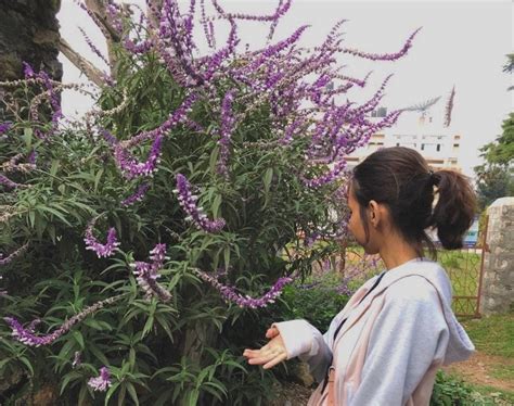 Mindfulness and environmental sustainability : A journey inwards – SIA ...