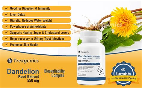 Buy Trexgenics DANDELION (Bioactive 4% Flavonoids) 550mg EXTRACT Liver ...
