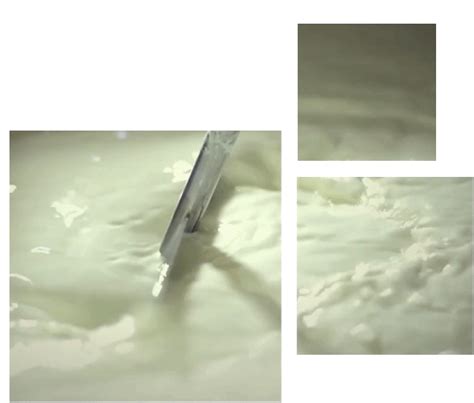 HAP - Welcome to Hatsun Agro Product Ltd - India's leading private dairy