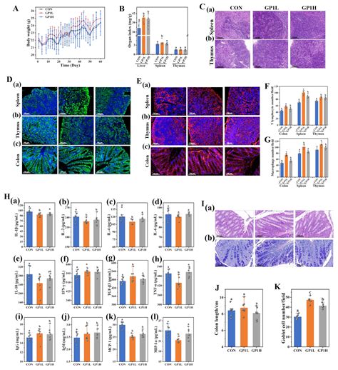 Glycyrrhiza uralensis Polysaccharide Modulates Characteristic Bacteria ...