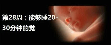 怀孕第28周-广州仁爱医院产科