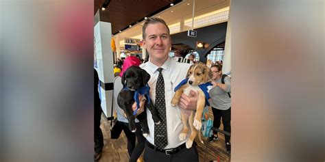 Southwest Airlines flies dog to Puppy Bowl, surprises passengers with ...