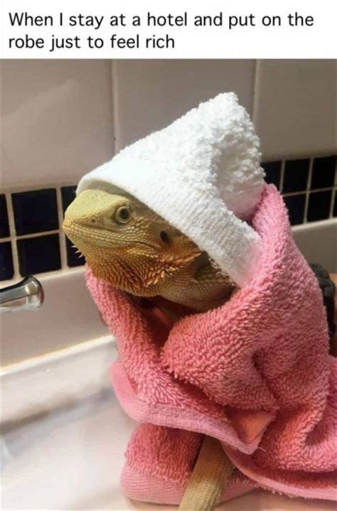 Random Fun 的图像结果